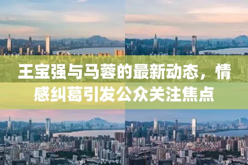 王宝强与马蓉的最新动态，情感纠葛引发公众关注焦点