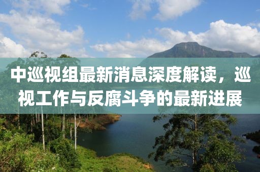 中巡视组最新消息深度解读，巡视工作与反腐斗争的最新进展
