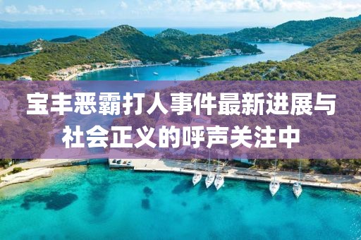 宝丰恶霸打人事件最新进展与社会正义的呼声关注中