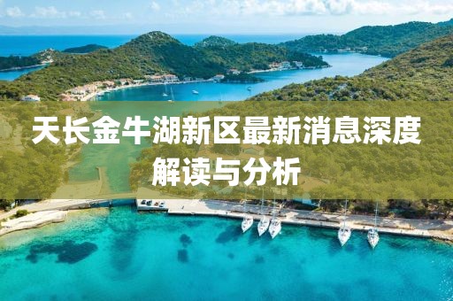 天长金牛湖新区最新消息深度解读与分析