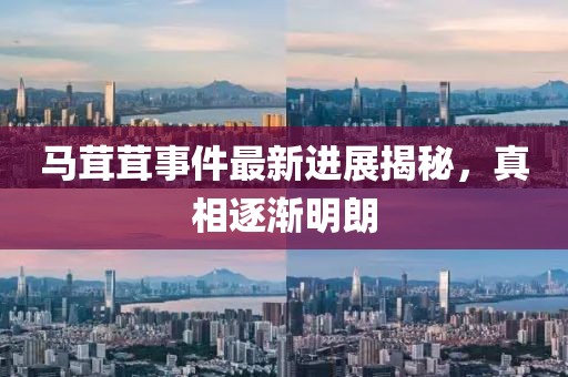马茸茸事件最新进展揭秘，真相逐渐明朗