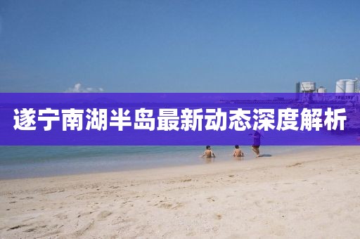 莎酷拉 第11页