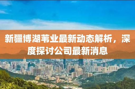 新疆博湖苇业最新动态解析，深度探讨公司最新消息