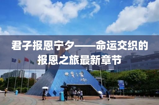 君孑报恩宁夕——命运交织的报恩之旅最新章节