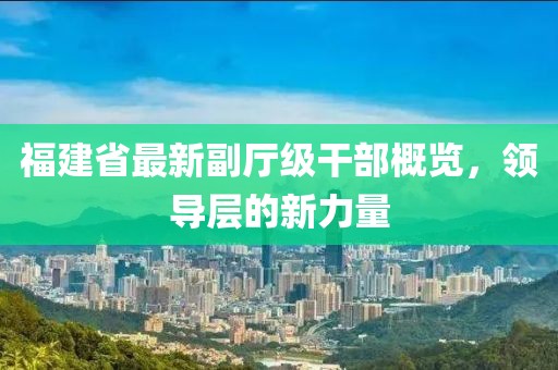 福建省最新副厅级干部概览，领导层的新力量