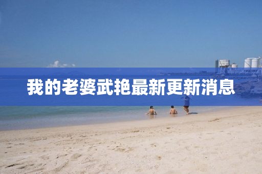 我的老婆武艳最新更新消息