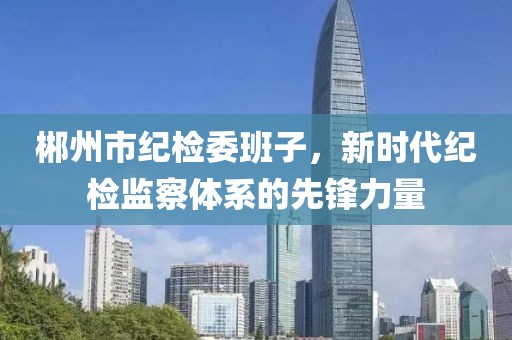 郴州市纪检委班子，新时代纪检监察体系的先锋力量