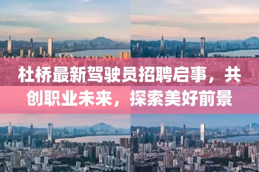 杜桥最新驾驶员招聘启事，共创职业未来，探索美好前景