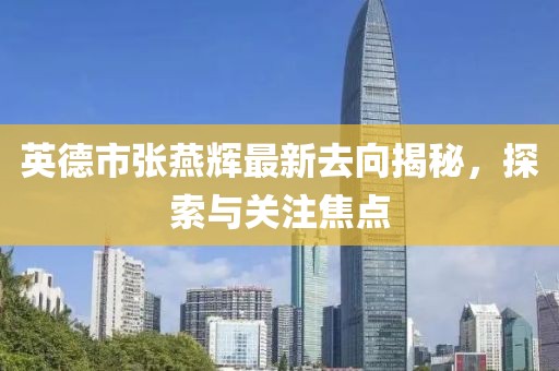 英德市张燕辉最新去向揭秘，探索与关注焦点