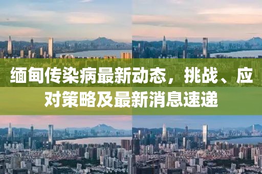 缅甸传染病最新动态，挑战、应对策略及最新消息速递