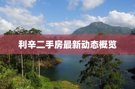 利辛二手房最新动态概览
