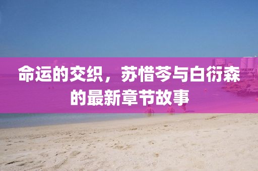 命运的交织，苏惜芩与白衍森的最新章节故事