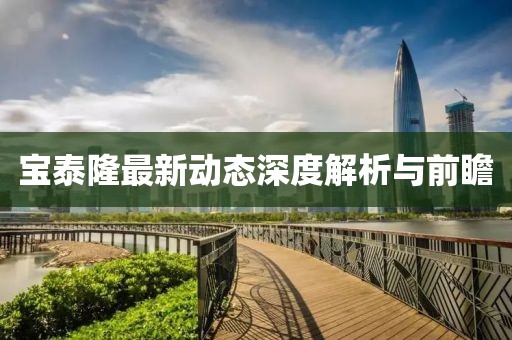 宝泰隆最新动态深度解析与前瞻