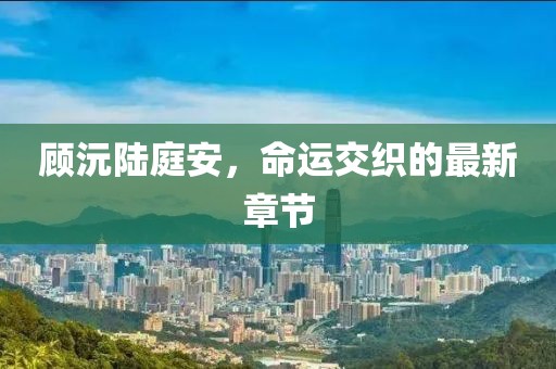 顾沅陆庭安，命运交织的最新章节