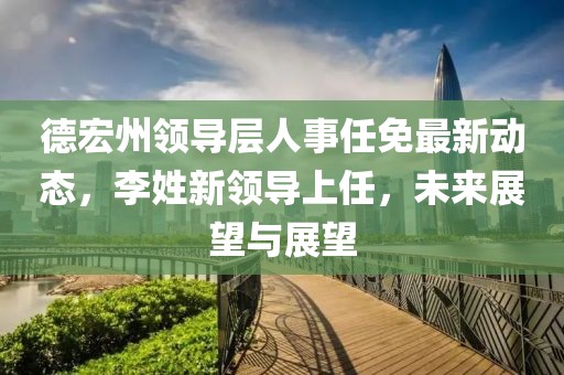 德宏州领导层人事任免最新动态，李姓新领导上任，未来展望与展望