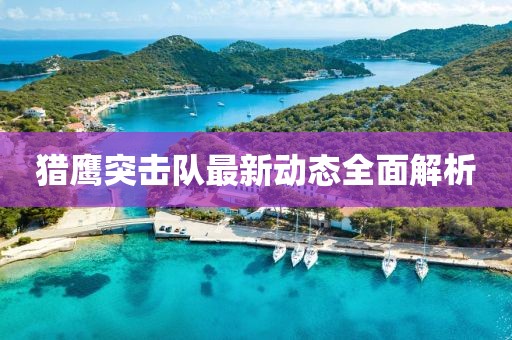 猎鹰突击队最新动态全面解析