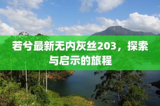 若兮最新无内灰丝203，探索与启示的旅程