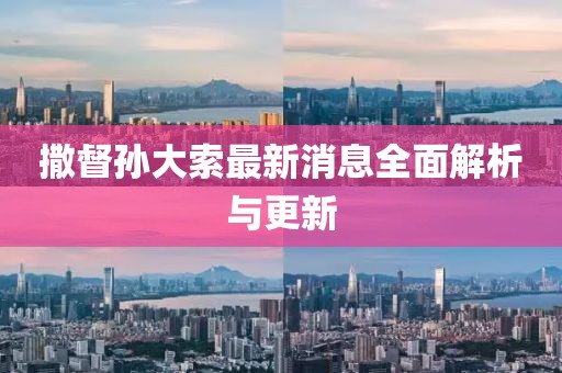 撒督孙大索最新消息全面解析与更新