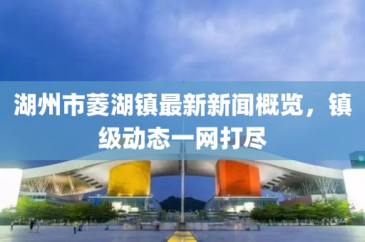 湖州市菱湖镇最新新闻概览，镇级动态一网打尽