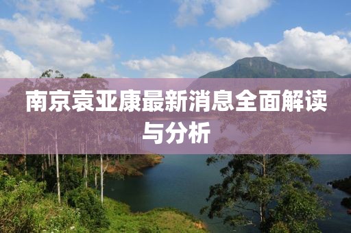 南京袁亚康最新消息全面解读与分析