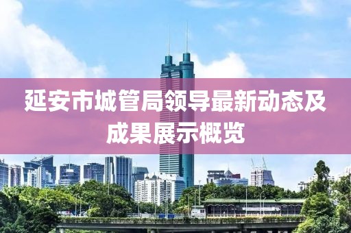 延安市城管局领导最新动态及成果展示概览
