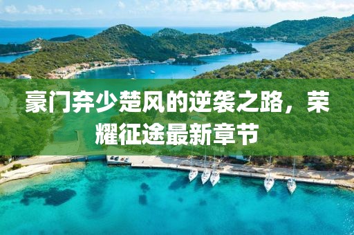 豪门弃少楚风的逆袭之路，荣耀征途最新章节