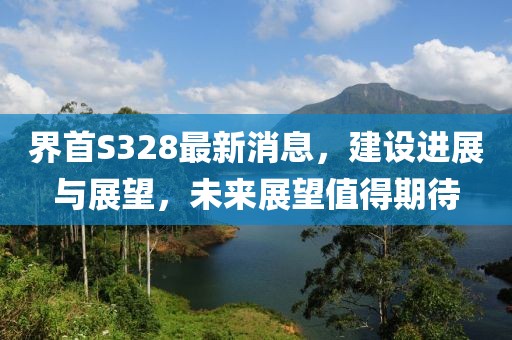 界首S328最新消息，建设进展与展望，未来展望值得期待