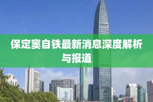 保定窦自铁最新消息深度解析与报道