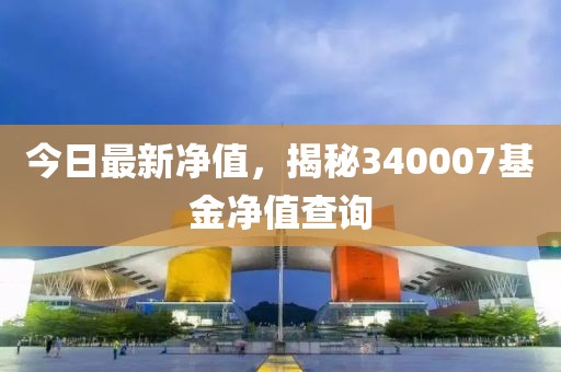 今日最新净值，揭秘340007基金净值查询
