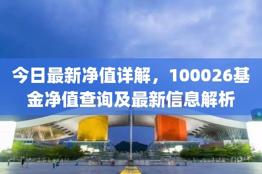 今日最新净值详解，100026基金净值查询及最新信息解析