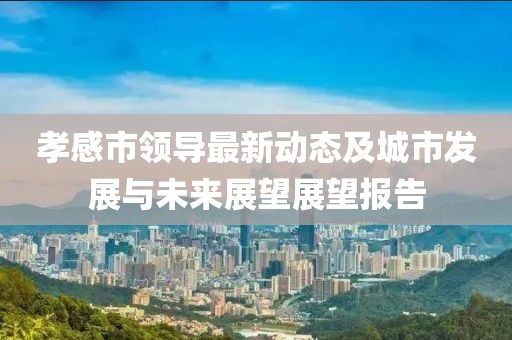 孝感市领导最新动态及城市发展与未来展望展望报告