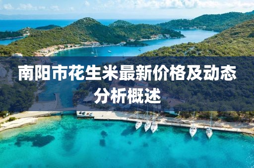 南阳市花生米最新价格及动态分析概述