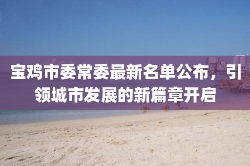 宝鸡市委常委最新名单公布，引领城市发展的新篇章开启