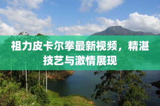 祖力皮卡尔拳最新视频，精湛技艺与激情展现