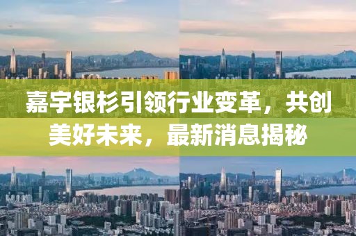 嘉宇银杉引领行业变革，共创美好未来，最新消息揭秘