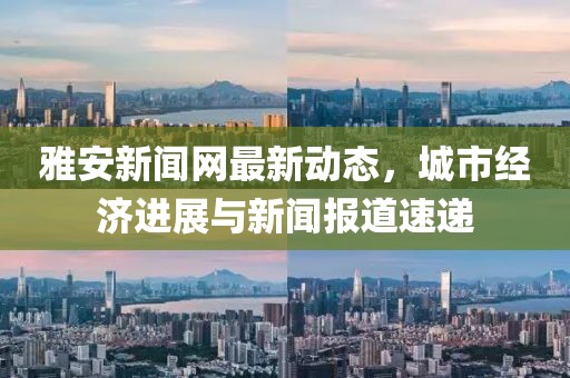 雅安新闻网最新动态，城市经济进展与新闻报道速递