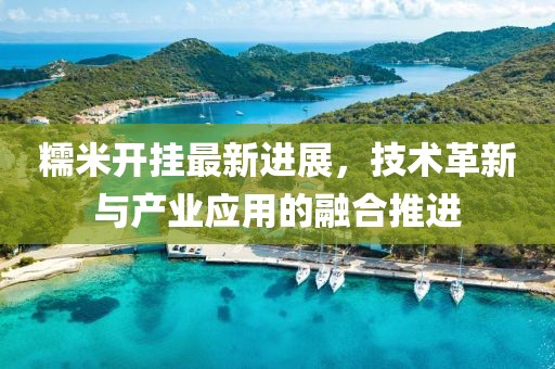 糯米开挂最新进展，技术革新与产业应用的融合推进
