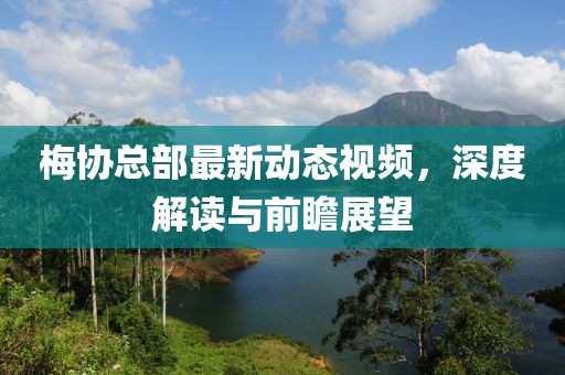 梅协总部最新动态视频，深度解读与前瞻展望