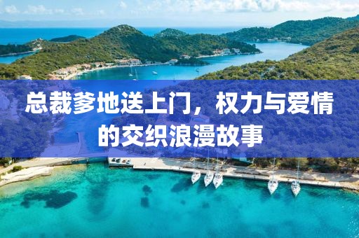总裁爹地送上门，权力与爱情的交织浪漫故事