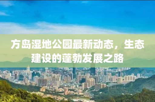 方岛湿地公园最新动态，生态建设的蓬勃发展之路