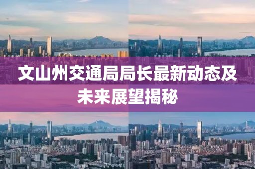文山州交通局局长最新动态及未来展望揭秘