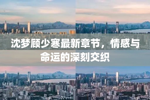 沈梦顾少寒最新章节，情感与命运的深刻交织