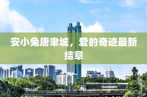 安小兔唐聿城，爱的奇迹最新结章
