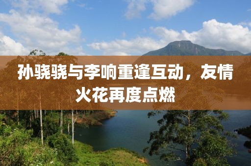 孙骁骁与李响重逢互动，友情火花再度点燃