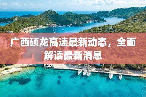 广西硕龙高速最新动态，全面解读最新消息
