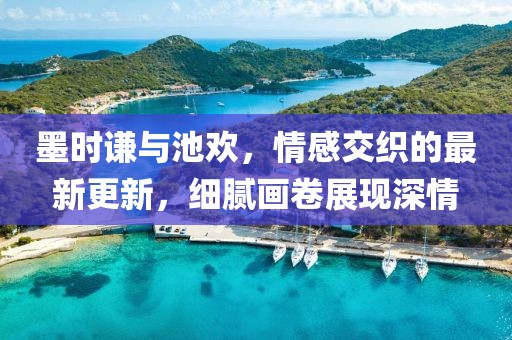 墨时谦与池欢，情感交织的最新更新，细腻画卷展现深情