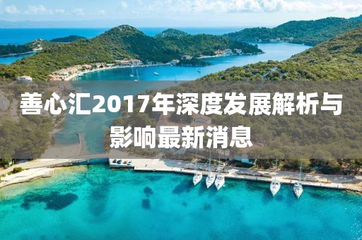 善心汇2017年深度发展解析与影响最新消息