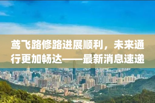 鸢飞路修路进展顺利，未来通行更加畅达——最新消息速递