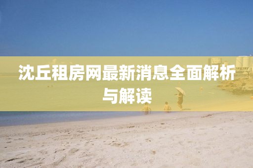 沈丘租房网最新消息全面解析与解读