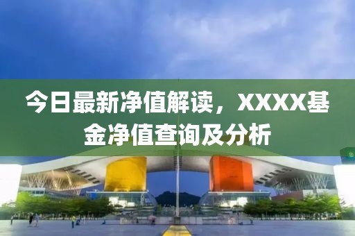 今日最新净值解读，XXXX基金净值查询及分析